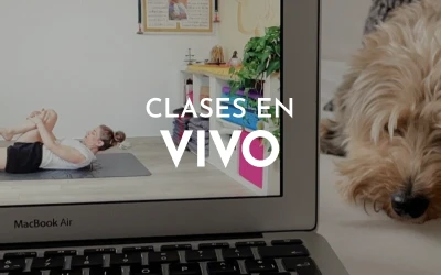Clases de Yoga en Vivo