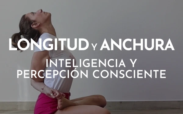 Longitud y anchura taller yoga iyengar online